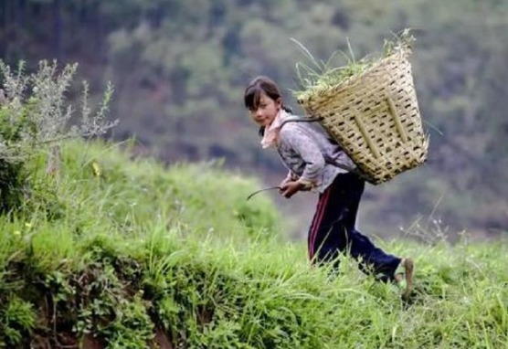 本是有錢人的一場(chǎng)“游戲”,卻被當(dāng)了真,農(nóng)村孩子的一生誰(shuí)來(lái)買單