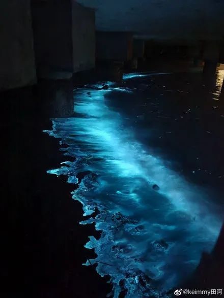 海峡导报|突发！厦门海沧湾公园人人人人人
