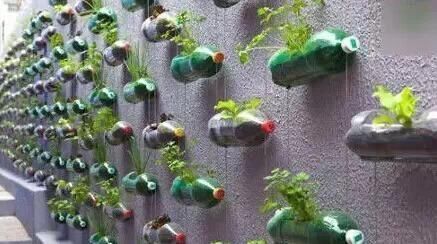 家里面的盆栽这样处理,不仅节省空间,家里面也好看了不少!