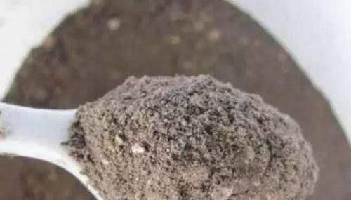 花友们|6月底养茉莉、三角梅,盆里扔“2种料”,根壮叶绿,花量特别大