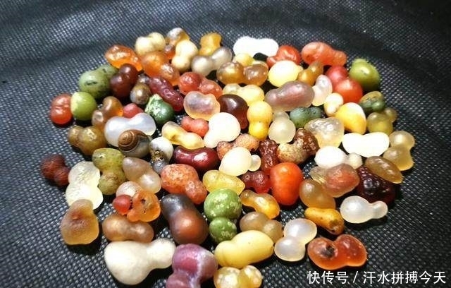 捡到的石头种类很多,如何学会自己鉴别