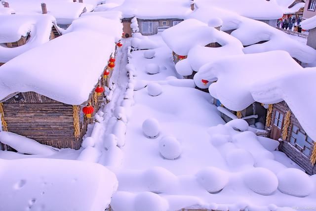 梓桑$咏雪诗词15首:雪落无声一袭新，茫茫世界约天真