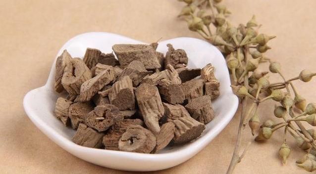 活血化瘀|一味能“引血下行”的良药,可活血瘀、强筋骨、益肝肾