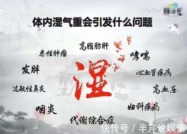 桂圆|湿气不难治,几颗桂圆加一宝,1天1次,再重的湿气也全无,有效