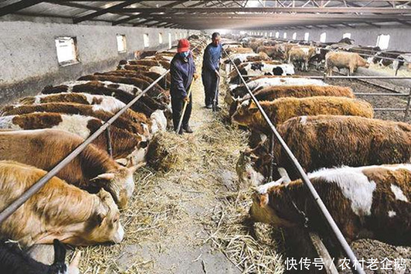 喷雾消毒设备在疫情期间的革新应用