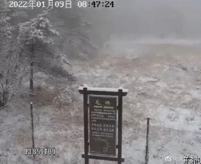 下雪|下雪了！