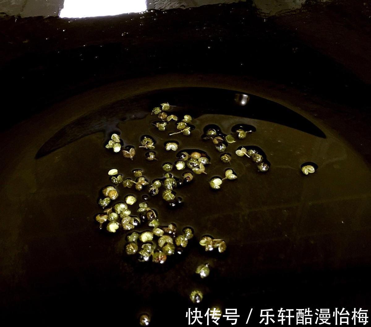 寻味家常带你回忆童年的味道——麻婆豆腐