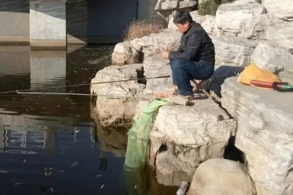 寒冬时,鲫鱼该底钓还是浮钓?好多人都弄反了,难怪鱼口总不好