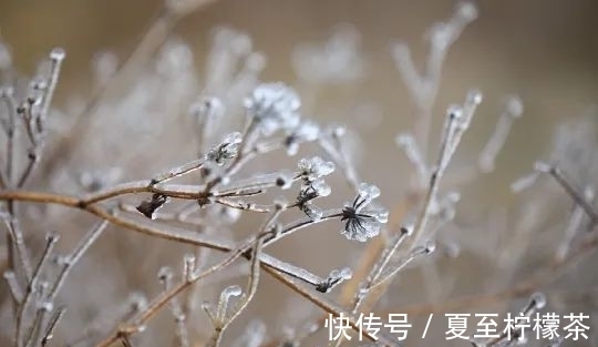 夜阑珊@捻月,孤灯长鸣