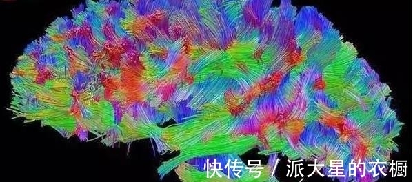 方铅矿|先有鸡还是先有蛋?问题终于被正式解答了告诉你九个有趣的冷知识