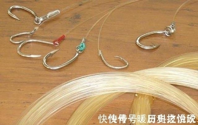 小鱼|钓鱼新手:粗线真的挡口吗?了解这4点,为你揭开挡口是否存在