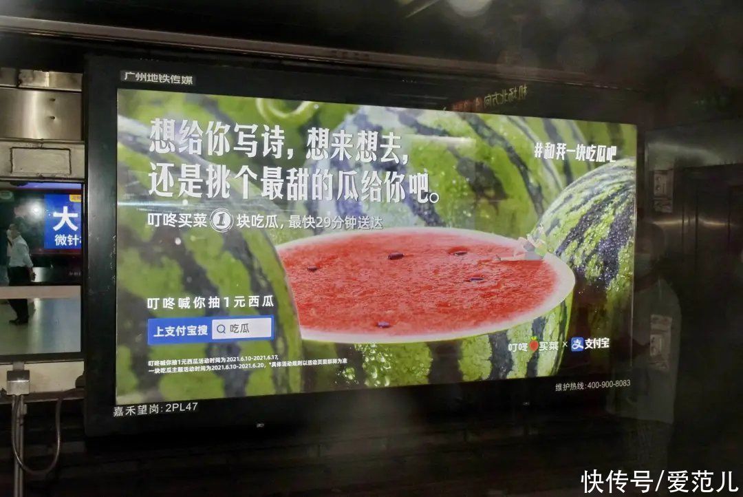 品牌|支付宝重压搜索运营，走了和微信、百度不同的路