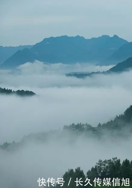 惊艳|惊艳！苍溪九龙山雪景美到cry！