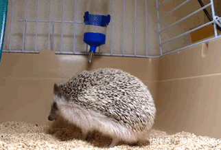 别再问美术生这三个蠢问题啦!美术生得罪谁了让你们这么欺负?