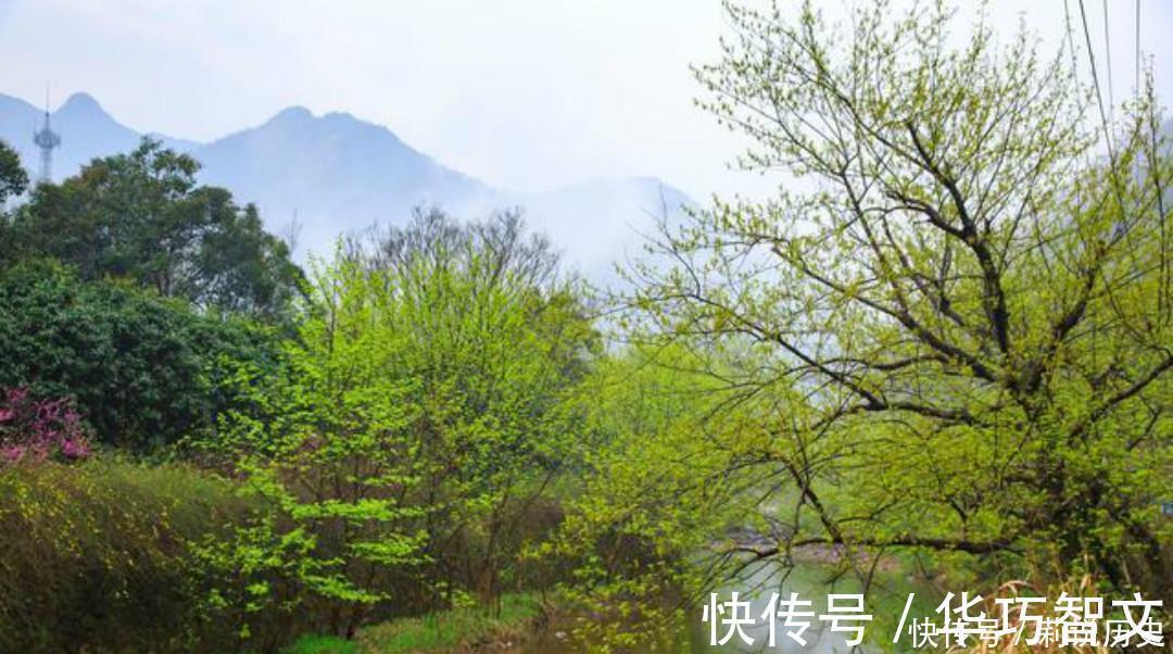 小溪$杨万里一首有趣的咏梅诗,开篇就显得与众不同,结尾则是千古名句