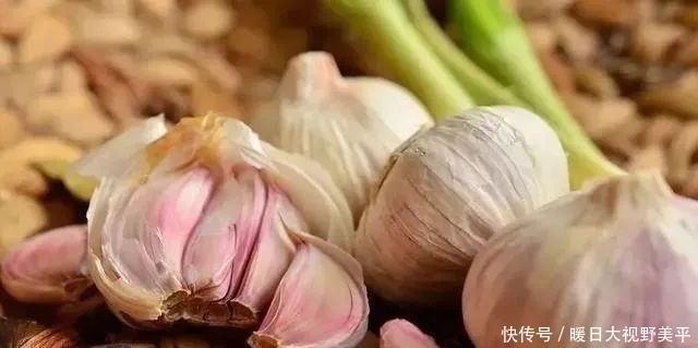 鲫鱼|这种“东西”钓鱼,比蚯蚓还牛!很多人家里都有