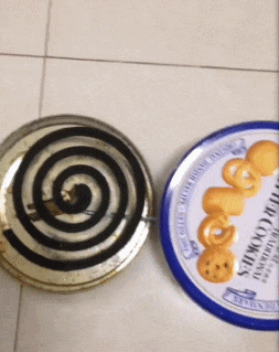 |搞笑GIF:大金毛估计是湖南的,四川重庆吃红辣椒,湖南就爱青椒