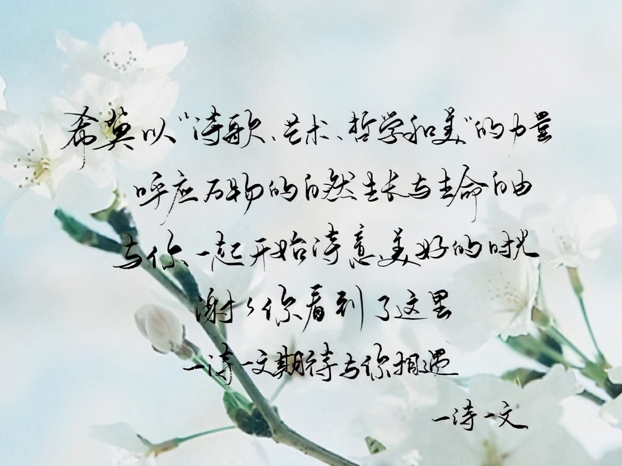 云朵|世间凡事短如梦,愿我们,惜人惜物,坐看岁月漫漫,拥抱平平安安