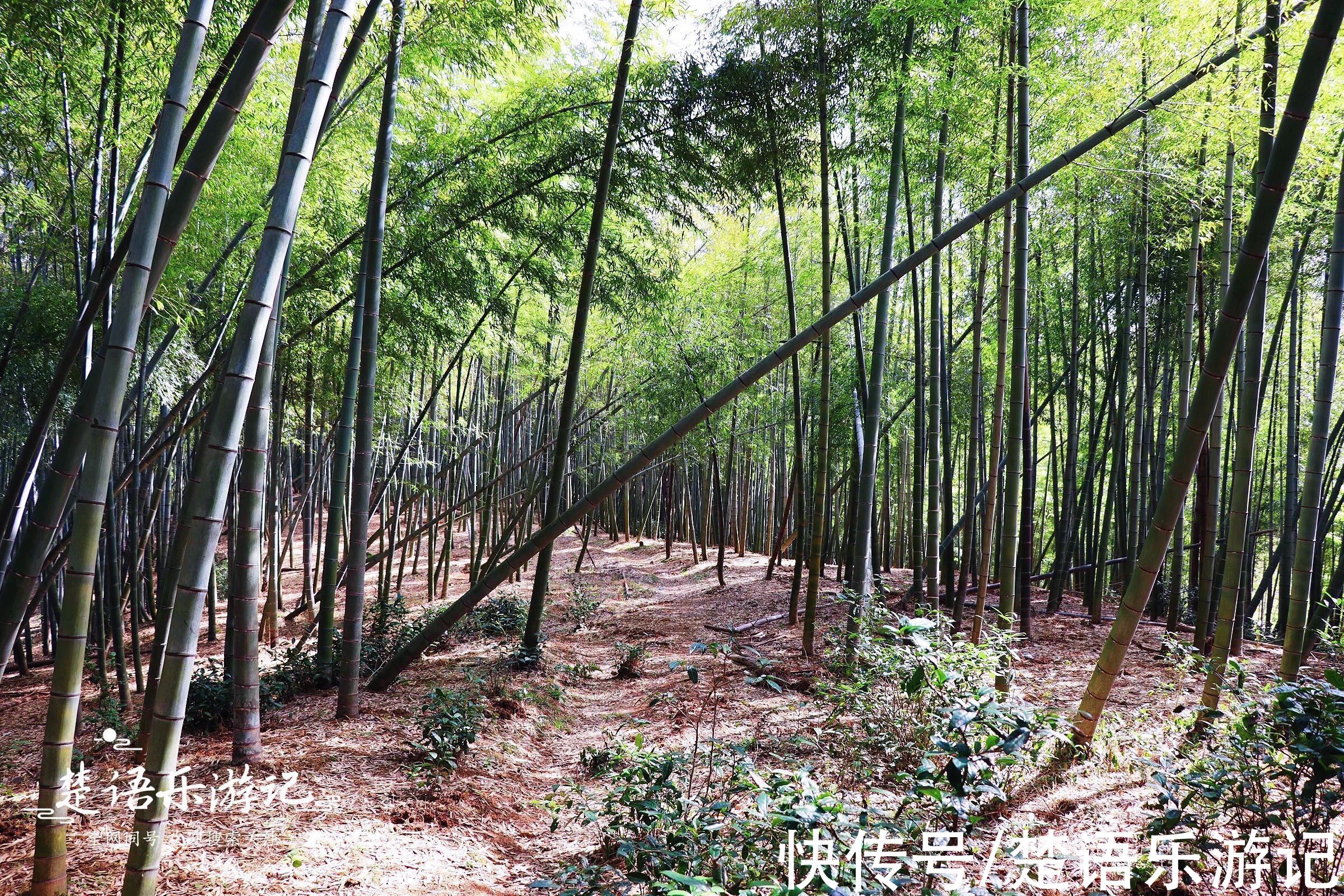 古道|这里和大岚的赏雪胜地同名，地处幽谷如人间秘境，原来是美丽古村