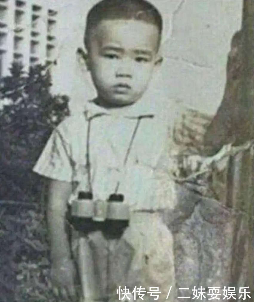 陈小春:你以为本尊冷冷冰冰,不易近人,其实是还没有遇到应采儿