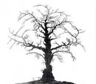 萃枫苷|老年痴呆测试题6道题全能答对,身体还很健康,来测一测