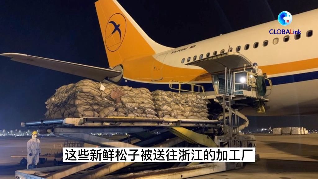 阿富汗|全球连线丨赵立坚“带货”的阿富汗松子卖得怎么样？