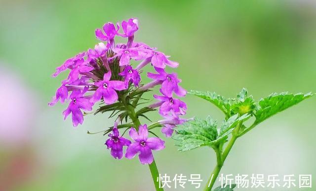 这四种人@这四种人,是你生命中的贵人,遇上了千万要珍惜