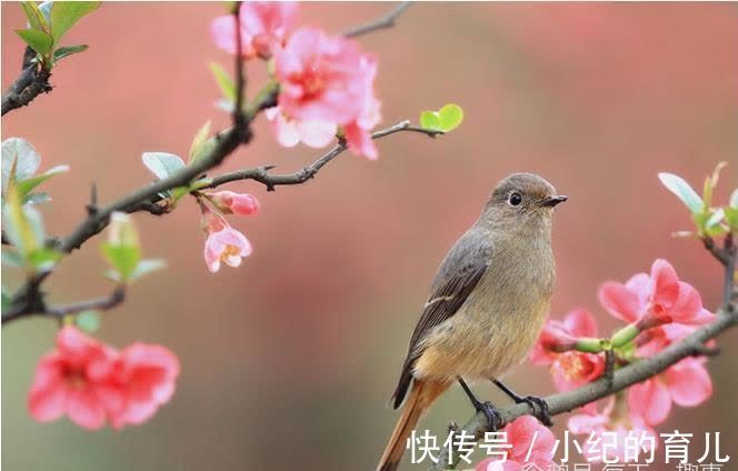 漂亮|中年很有钱的4大生肖女，年轻时很漂亮，晚年后会更有福气！