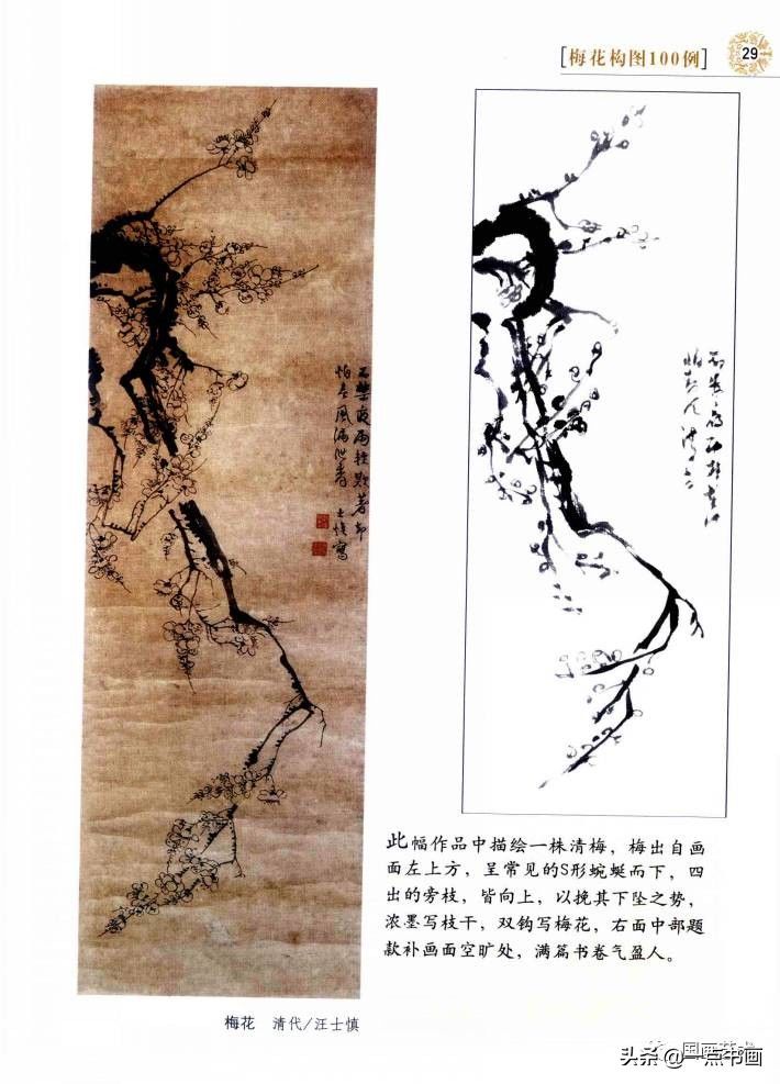 梅花构图100例（2）