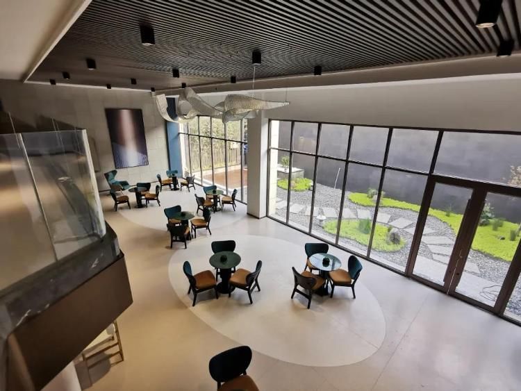 总裁|智者汇聚·如院以偿丨TTC区域产业发展研究院成立暨智汇谷总裁行馆盛妆绽放