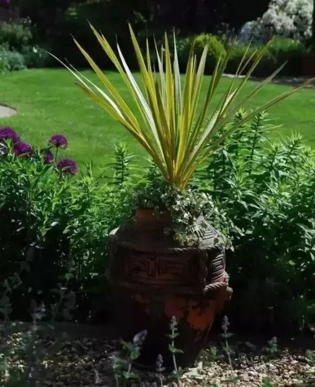 这才是花园应有的样子！