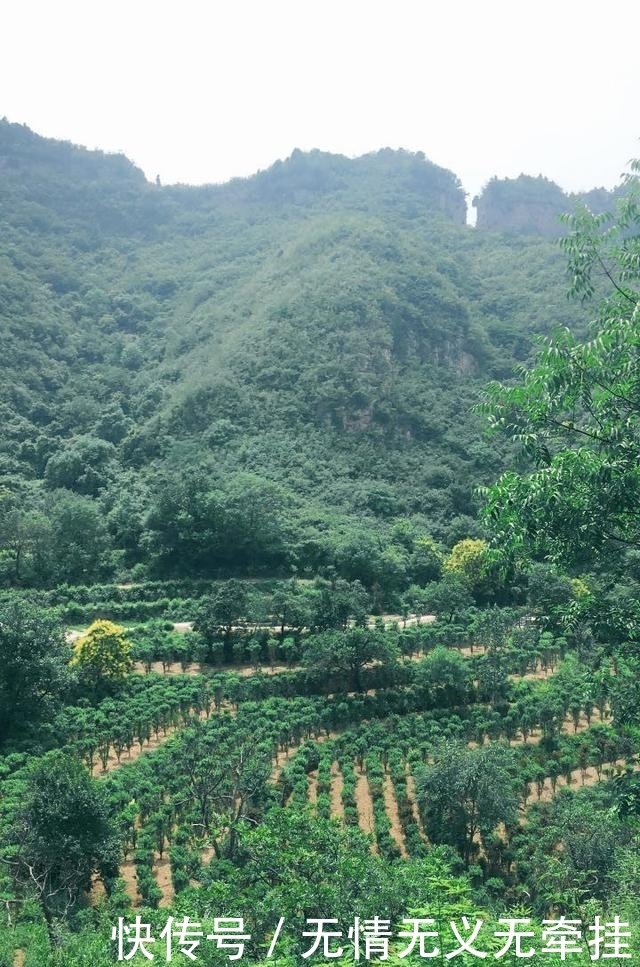 这个5A景区边的优美山地，被誉为河南九寨沟，趁未收门票赶紧去