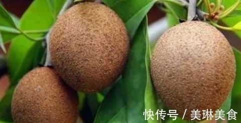 早食|女性常吃此物 可延缓皱纹生长 早吃早好