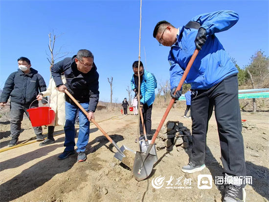 淄博市市直机关开展“共植一棵树 青春齐奋进”春季植树暨青年联谊活动