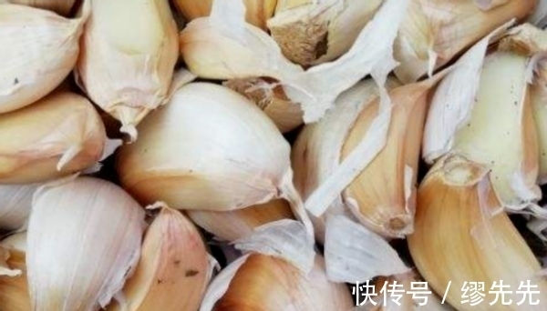 养花生虫,试试这4样“家庭好物”,保你轻松驱虫杀虫