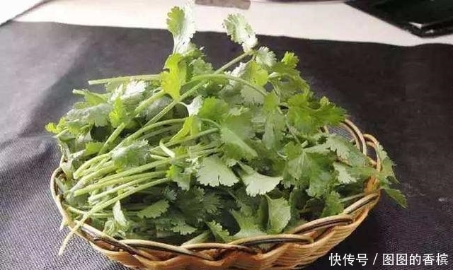 专治色斑的好物居然是香菜?难怪很多美女都在偷偷用,我先收藏了