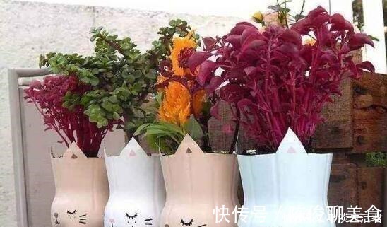 漂亮|这些破烂不要扔,做成“小花盆”,个性又漂亮,比买的强“百倍”!