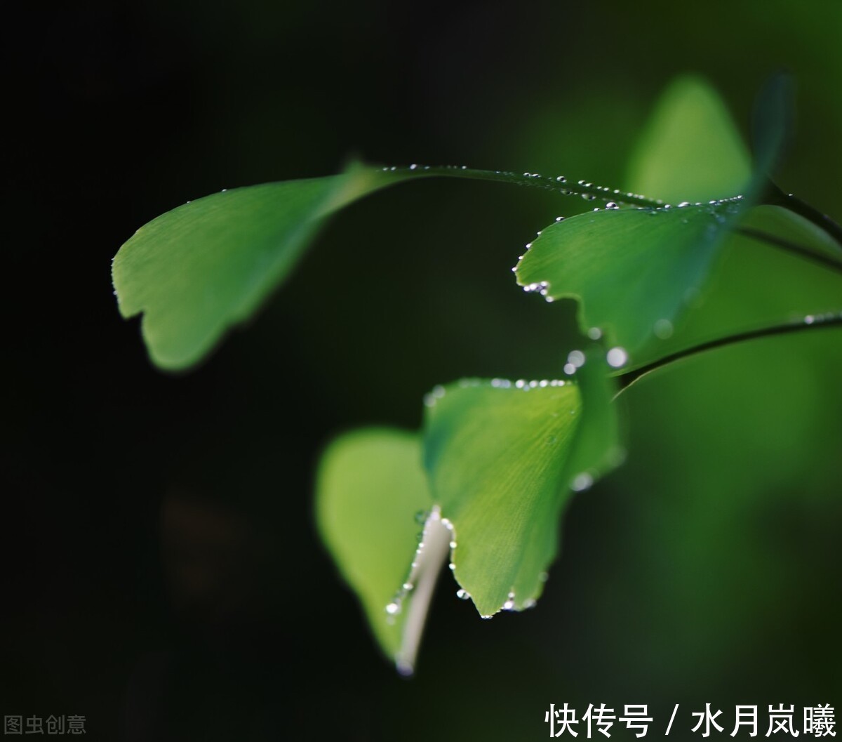 些人|闲来静处,且将诗酒猖狂。唱一曲归来未晚,歌一调湖海茫茫