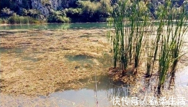 冬季钓鱼，如何钓到大鲫鱼？事实证明，大鲫鱼喜欢在这些位置过冬