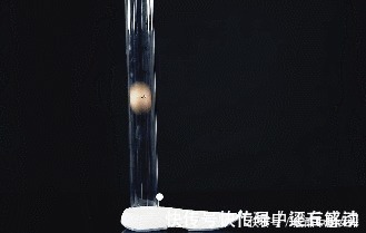 yeezy 小米推「空调鞋」!不到百元硬刚Yeezy,穿上降10℃比拖鞋还透气