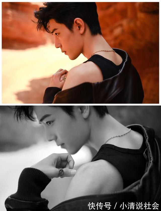 |明星粉丝名有多搞笑,食物系昵称偏多,而她的粉丝名难以理解