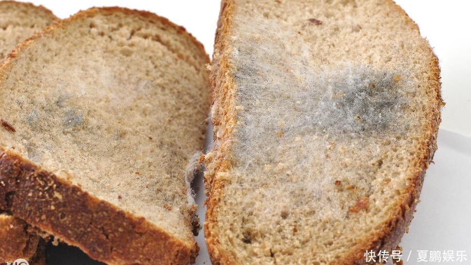 中毒|夫妇吃隔夜菜中毒,丈夫身亡四种隔夜菜比毒药还狠