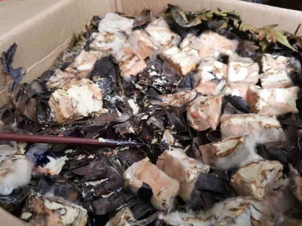  石柱人，你们多久没有亲手做过霉豆腐了？