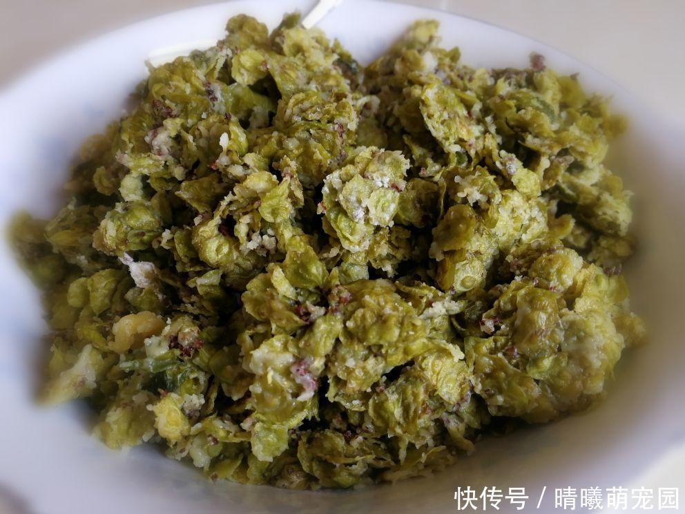 紫色|农村常见的5种野生蔬菜,城里人贼喜欢,健康美味有营养