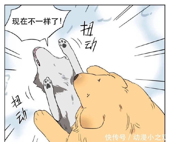 小玩意儿|漫画：小玩意儿长大了，赶不走了怎么办？