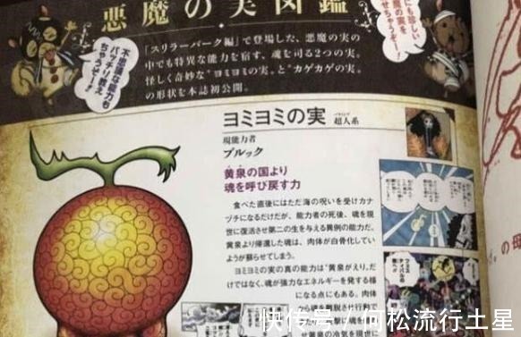 恶魔果实图鉴|海贼王草帽团恶魔果实图鉴公布,4人全把果实能力发挥到了极致