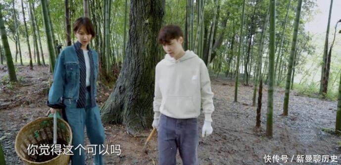 陈赫|杨紫告别《向往》后,黄磊真是操碎了心,竟还偷着翻张艺兴手机