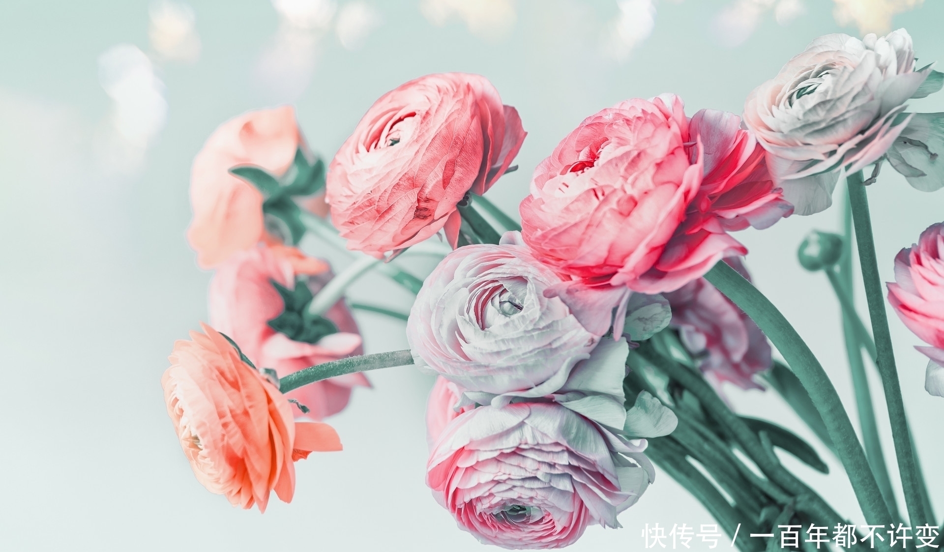 才学$真正厉害的人,从不炫耀,却在这些时候自带光芒