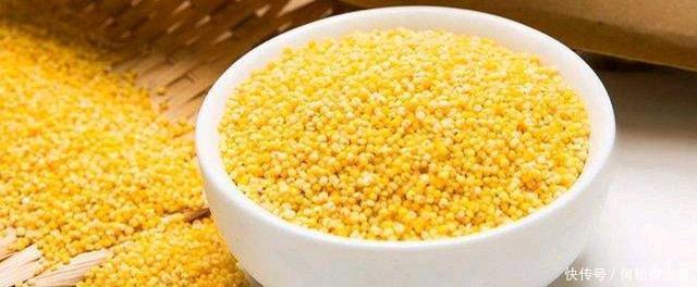 小米|小米与什么食材搭配营养价值更高