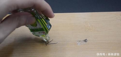 胶印|家里有风油精的都该看看,好多人还不当个事,看后抓紧转告家里人